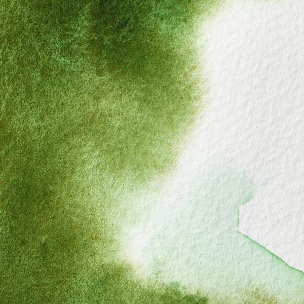 PERMANENT SAP GREEN 37ML TUBE W&N pwc