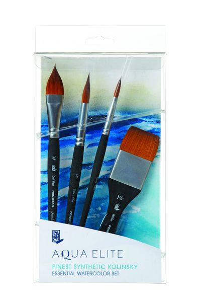 Princeton Aqua Elite Synthetic Professionnel Boite 4 PCS PGSET