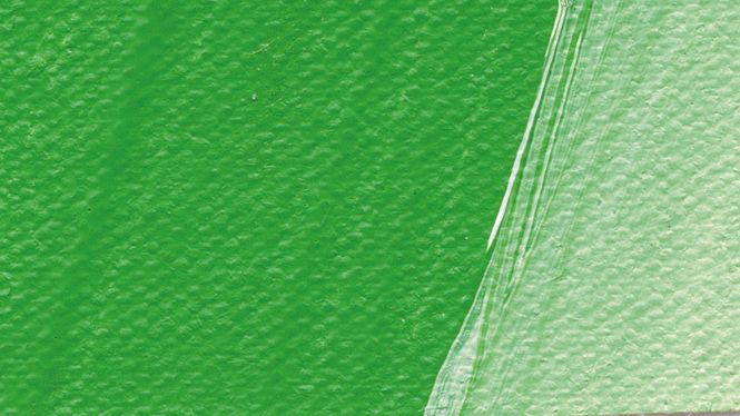 Hovedbilde Schmincke Akademie 60ml. permanent green
