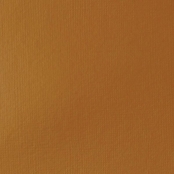 RAW SIENNA 22ML LQX BASICS