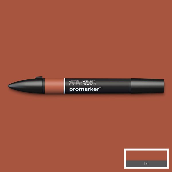W&N PROMARKER BURNT UMBER (R646)