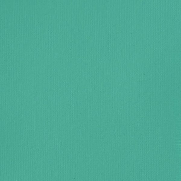 BRIGHT AQUA GREEN 250ML LQX BASICS FLUID