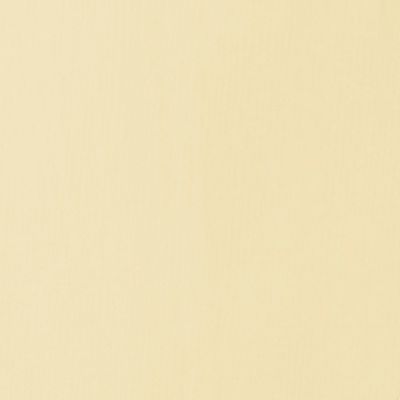 PARCHMENT 22ML LQX BASICS