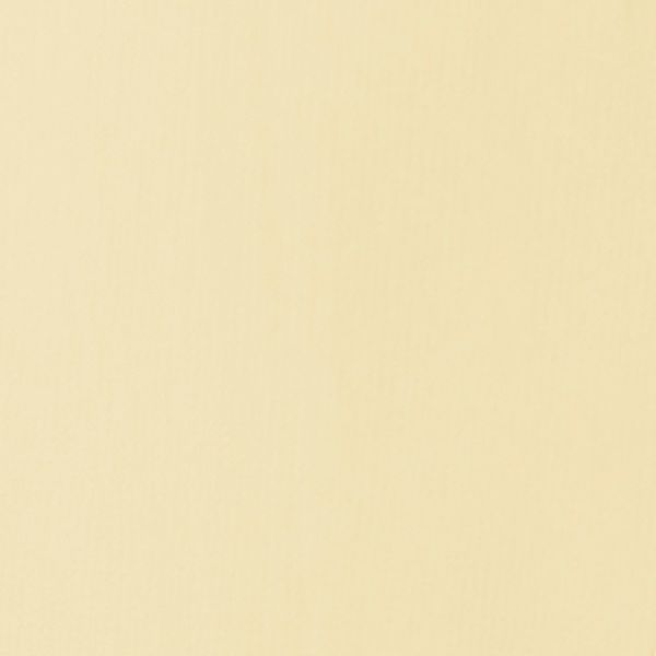 PARCHMENT 22ML LQX BASICS