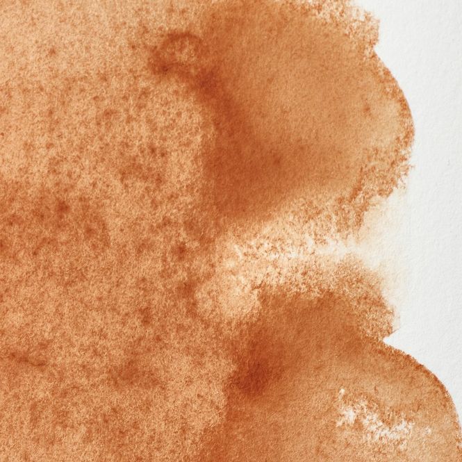 Hovedbilde BROWN OCHRE 5ML TUBE W&N pwc