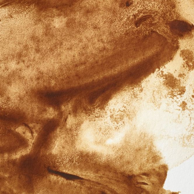 Hovedbilde RAW UMBER HALV PAN W&N pwc