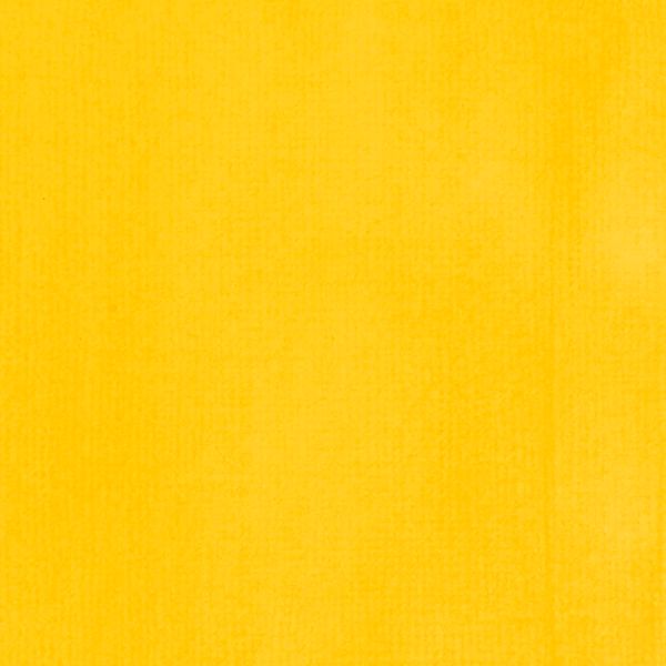 CADMIUM YELLOW LIGHT HUE 30ML LQX PRO ACRYLIC INK